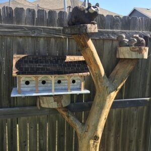 Bird House